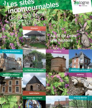 Les sites incontournables de la Sologne des Étangs – Guide