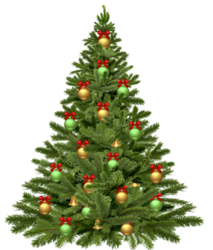 Fête et Marché de Noël de l’école publique