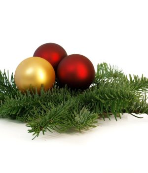 Fête de Noël de l’école Notre Dame de Lourdes