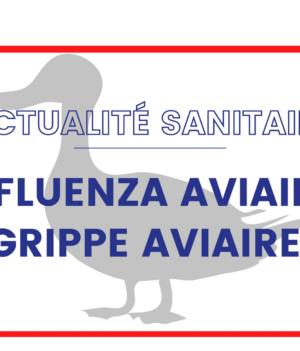 Influenza aviaire